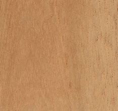 Image result for Spanish Cedar Wood