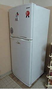 Image result for Old LG Refrigerator