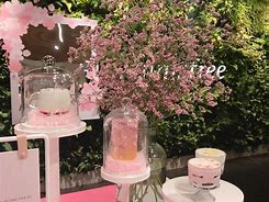 Image result for Innisfree Cafe