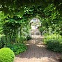Image result for Garden Border Plant Supports