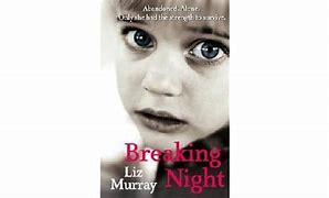 Image result for Breaking Night Liz Murray