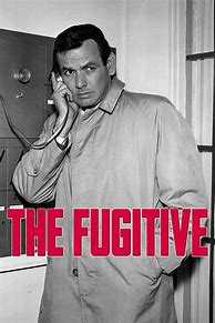 Image result for The Fugitive Original Movie Poster