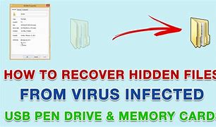 Image result for Hidden Files Virus