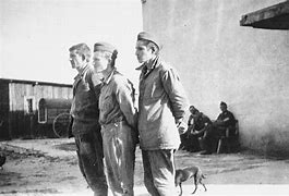 Image result for Russian POWs in Germany