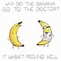 Image result for Pictorial Puns
