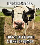 Image result for Farm Cow Jokes