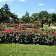 Image result for Allentown Rose Garden