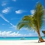 Image result for Philippine Beach Party Cebu
