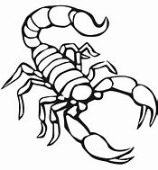 Image result for Printable Scorpion