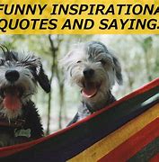 Image result for Funny Happy Positive Quotes