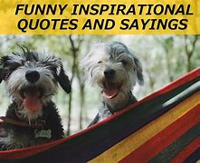 Image result for Humorous Thought for the Day