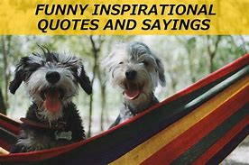Image result for Funny Inspirational Thoughts