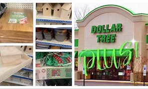 Image result for Dollar Tree Plus Items