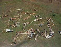 Image result for Vietnam War U.S. Casualties