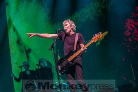 Image result for Roger Waters Sheep