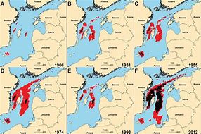 Image result for Baltic Sea Topographic Map