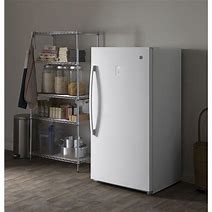Image result for Upright Freezers for the Garage with Temperature Control
