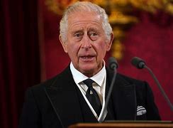 Image result for charles iii