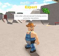 Image result for Flamingo Roblox Funny