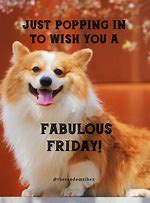 Image result for Happy Friday Animal Meme