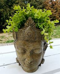 Image result for Face or Head Planters