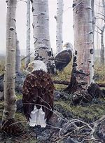Image result for Eagle Nest Painting