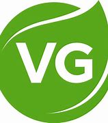 Image result for Veja Shoes Vegan V1.0
