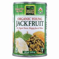 Image result for Native Forest Organic Young Jackfruit 14 Oz Can
