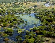 Image result for Sudan Environment