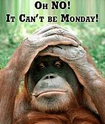 Image result for Monday Memes for Work Funny
