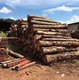 Image result for Timber Pallets