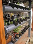 Image result for Growing Plants in PVC Pipe