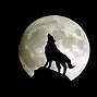 Image result for Wolf Wallpaper PC