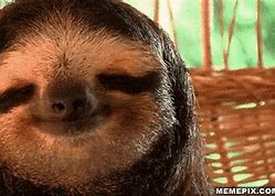 Image result for Good Morning Funny Sloth Memes