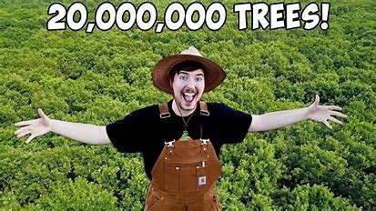 Image result for mr beast planting trees