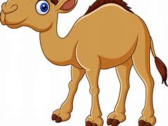 Image result for Cartoon Camel