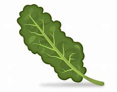 Image result for emoji for kale