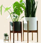 Image result for Indoor Tree Planters