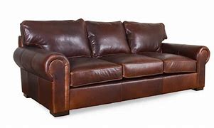 Image result for Leather Sleeper Sofa Product