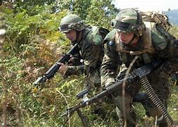 Image result for Modern Bosnian Soldier