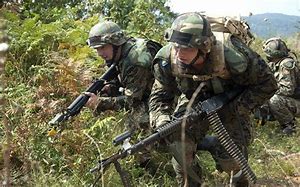 Image result for Bosnia Army