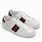 Image result for Gucci Running Sneakers