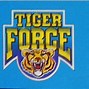 Image result for Tiger Force