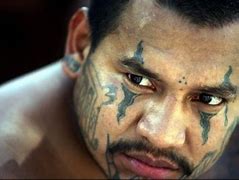 Image result for Most Dangerous Gangs Documentary