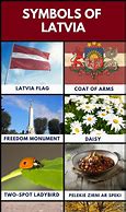Image result for Latvian National