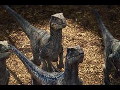 Image result for Jurassic World Velociraptor Raptor