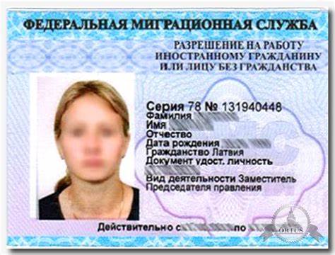 Важное руководство: как получить разрешение на работу иностранцу в России