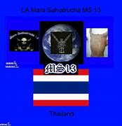 Image result for Mara Salvatrucha 13