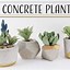 Image result for DIY Concrete Garden Planters