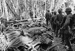 Image result for Us Atrocities in Vietnam